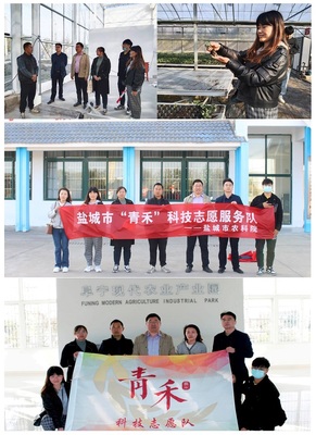 经作室赴阜宁新沟镇开展“青禾”科技志愿服务活动，助力盐城农业推广服务